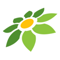 ANIME LINK